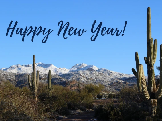 Snowy mountains in Tucson. Saguaros and palo verdes in the foreground. 