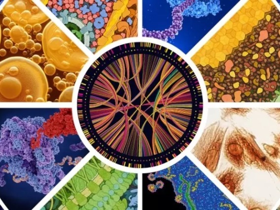 A collage of images of cells, molecules, and molecular complexes. In the center is an image of DNA analysis.