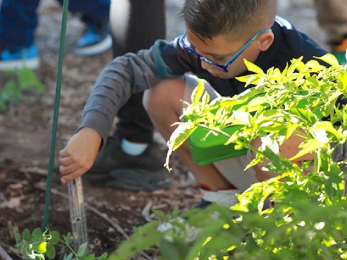 young boy working in a garden