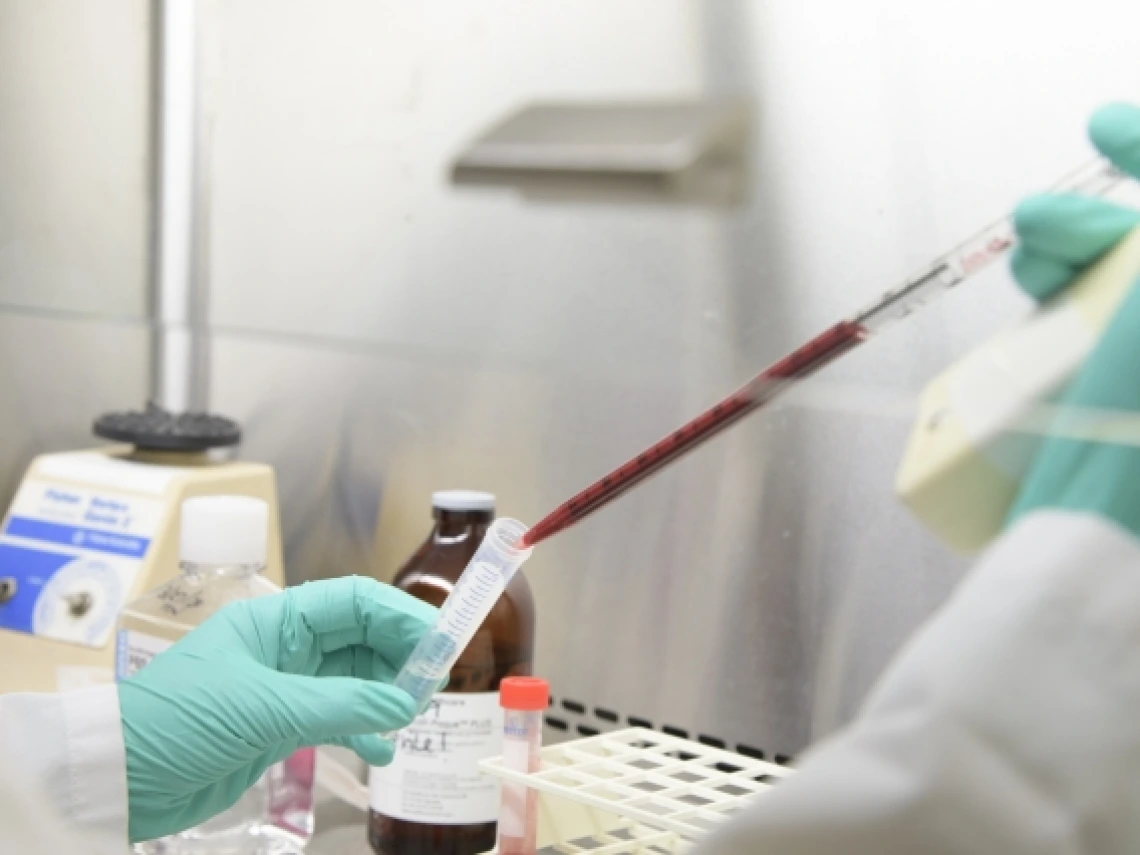 The antibody tests build upon the work of UArizona Health Sciences researchers Dr. Janko Nikolich-Žugich, whose lab is pictured here, and Deepta Bhattacharya.   