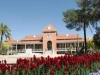 Old Main building on the UArizona campus